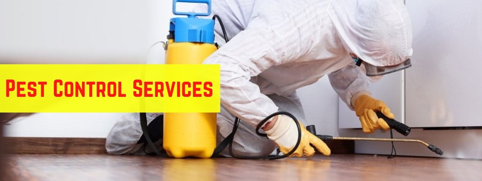 Pest control services in eastern suburbs